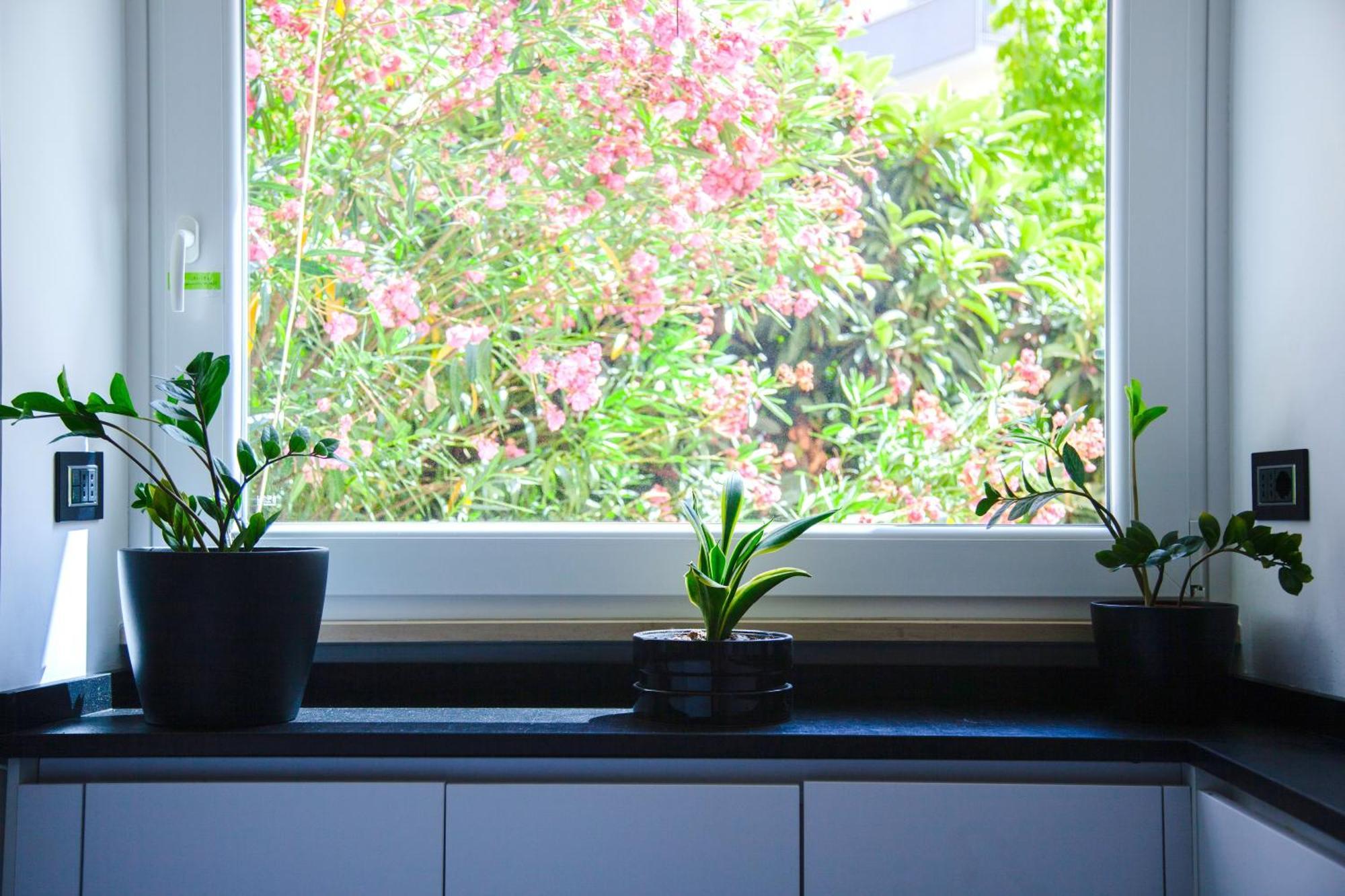 Luxury Modern Flat Near Vatican With Self Check In And Free Street Parking Apartamento Roma